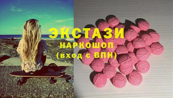 ECSTASY Богородицк