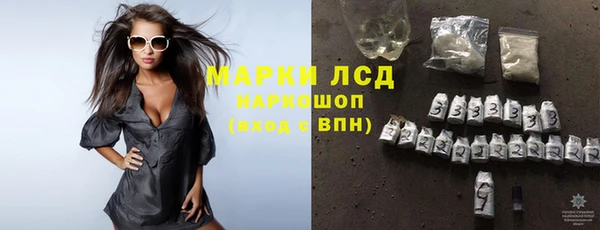 ECSTASY Богородицк