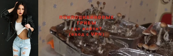 ECSTASY Богородицк