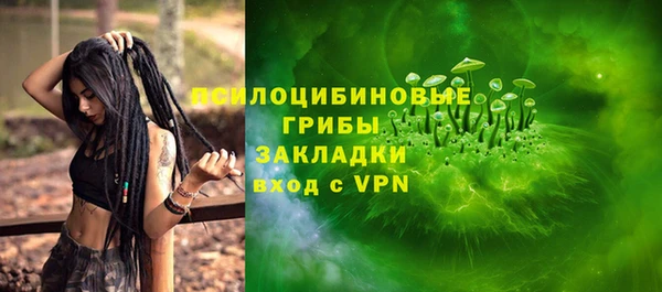 ПСИЛОЦИБИНОВЫЕ ГРИБЫ Белокуриха