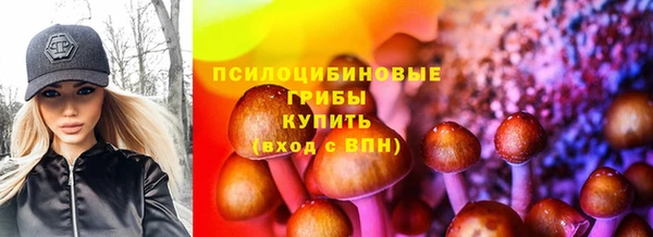 крисы Богданович