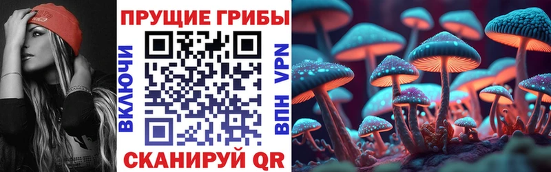 Псилоцибиновые грибы ЛСД  как найти   Березники 